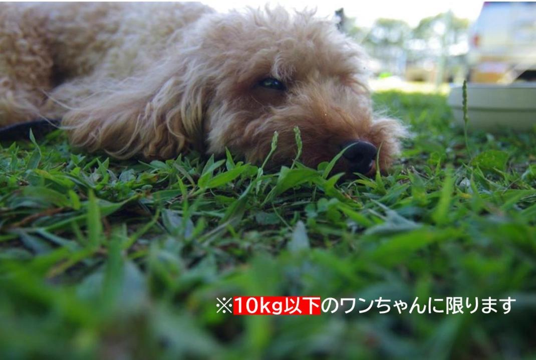 Picnic　Garden Otel Awaji Dış mekan fotoğraf